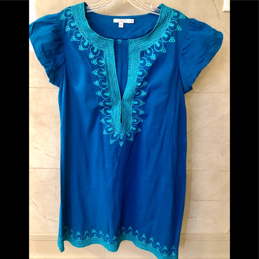 Beautiful Indian Inspired Embroidered Dress